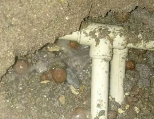 延川卫生间测漏