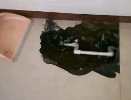 延川卫生间测漏水多少钱